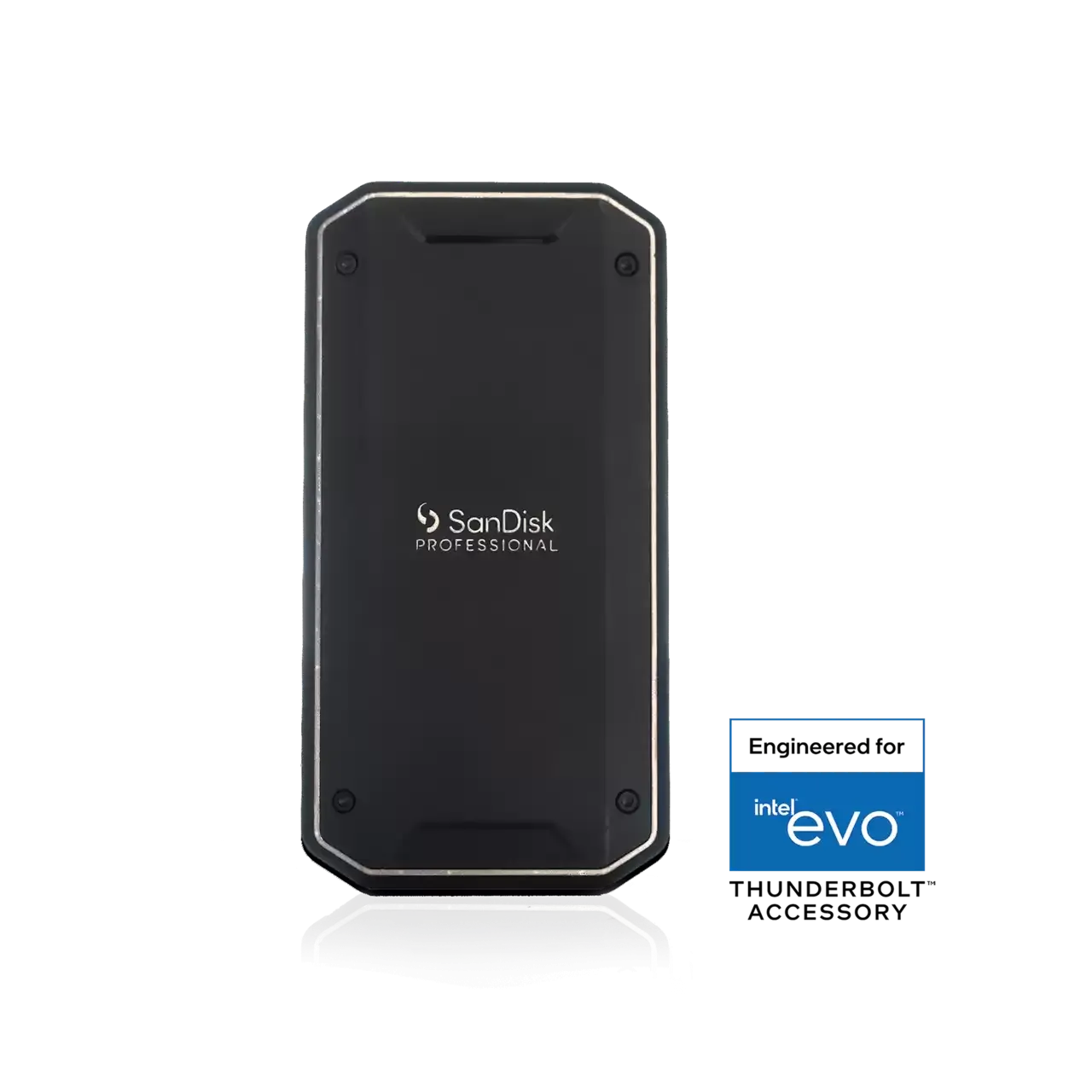 SanDisk 4TB Professional PRO-G40 SSD (exFAT) 行動固態硬碟 (SDPS31H-004T-GBC1D)