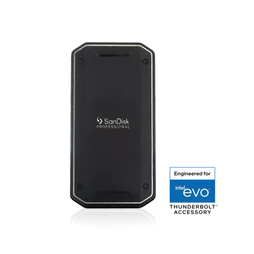 SanDisk 4TB Professional PRO-G40 SSD (exFAT) 行動固態硬碟(SDPS31H